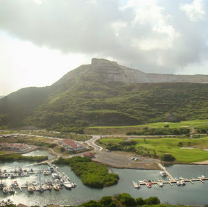 Meet your Posher, Fay